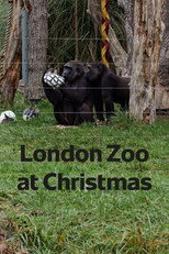 Poster de la película London Zoo at Christmas