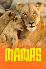 Poster de la serie Mamas
