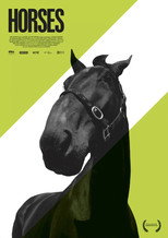 Poster de la película Horses