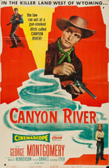 Poster de la película Canyon River