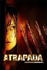 Poster de la película Atrapada