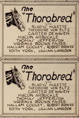 Poster de la película The Thoroughbred