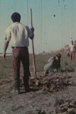 Poster de la película Poison River