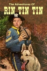 Poster de la serie The Adventures of Rin Tin Tin