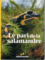 Poster de la película Le Pari De La Salamandre