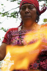 Poster de la película Fuego Sagrado