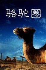 Poster de la película Camel Collar