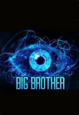 Poster de la serie Big Brother Mexico