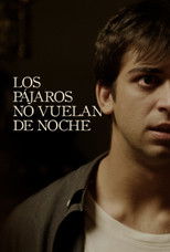 Poster de la película Birds Don’t Fly at Night