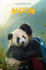 Poster de la película Moon The Panda
