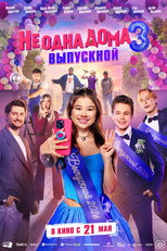 Poster de la película Home Not Alone 3