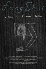 Poster de la película Feng Shui