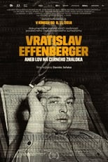 Poster de la película Vratislav Effenberger or Black Shark Hunting