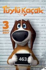 Poster de la película Run Ozzy Run