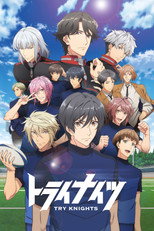Poster de la serie Try Knights