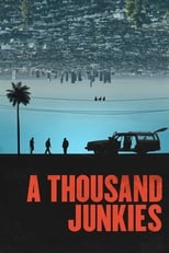 Poster de la película A Thousand Junkies