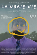 Poster de la serie In Real Life