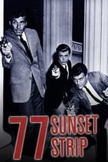 Poster de la serie 77 Sunset Strip