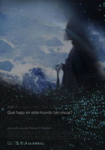 Poster de la película What I'm Doing In This Visual World?