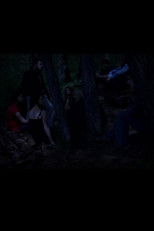 Poster de la película The Destructions