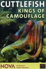 Poster de la película Cuttlefish: Kings of Camouflage