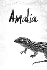 Poster de la película Amalia