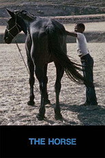 Poster de la película The Horse