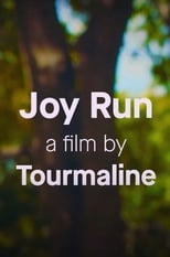 Poster de la película Joy Run