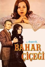 Poster de la película Ayşecik: Bahar Çiçeği