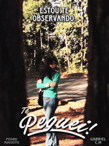 Poster de la película Te Peguei!