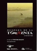 Poster de la película Después de la tormenta