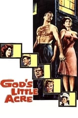 Poster de la película God's Little Acre