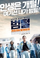 Poster de la película King of Prison