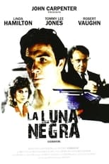 Poster de la película Luna negra