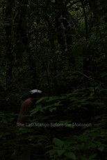 Poster de la película The Last Mango Before the Monsoon