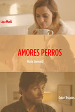 Poster de la película Amores perros