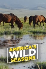 Poster de la serie America's Wild Seasons