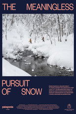 Poster de la película The Meaningless Pursuit of Snow