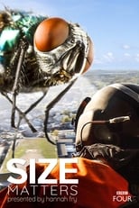 Poster de la serie Size Matters