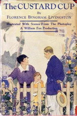 Poster de la película The Custard Cup