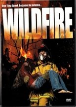 Poster de la película Wild Fire