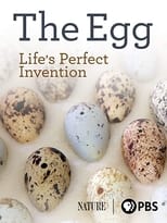 Poster de la película The Egg: Life’s Perfect Invention