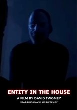 Poster de la película ENTITY IN THE HOUSE