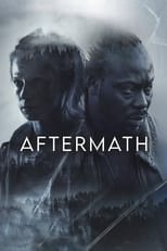 Poster de la película Aftermath