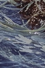 Poster de la película Waves