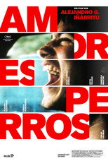 Amores perros