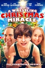 Poster de la película A Wrestling Christmas Miracle