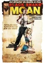 Poster de la película Black Snake Moan