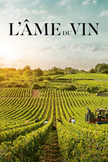 Poster de la película L'Âme du vin