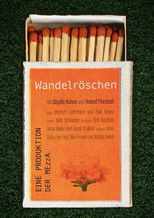 Poster de la película Lantana